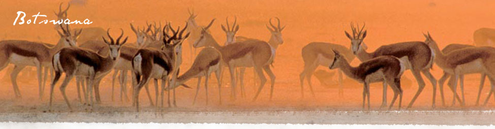 Penduka Travel designs exclusive travel packages within Southern Africa